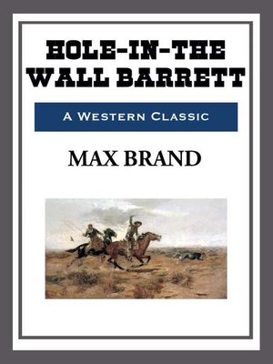 cover image of Hole-in-the-Wall Barrett